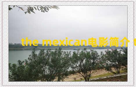the mexican电影简介 the meridian